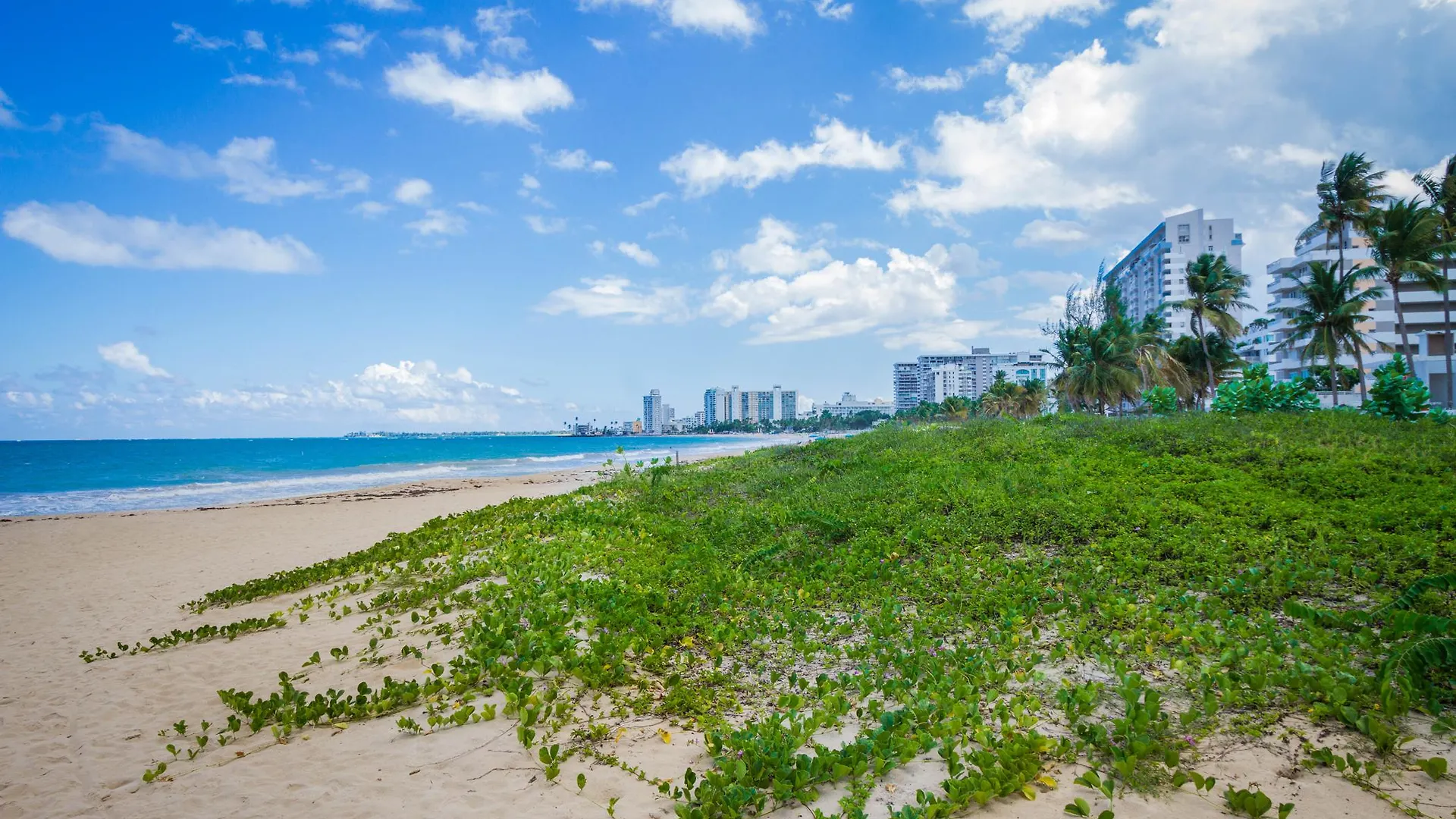 Tryp By Wyndham Isla Verde San Juan